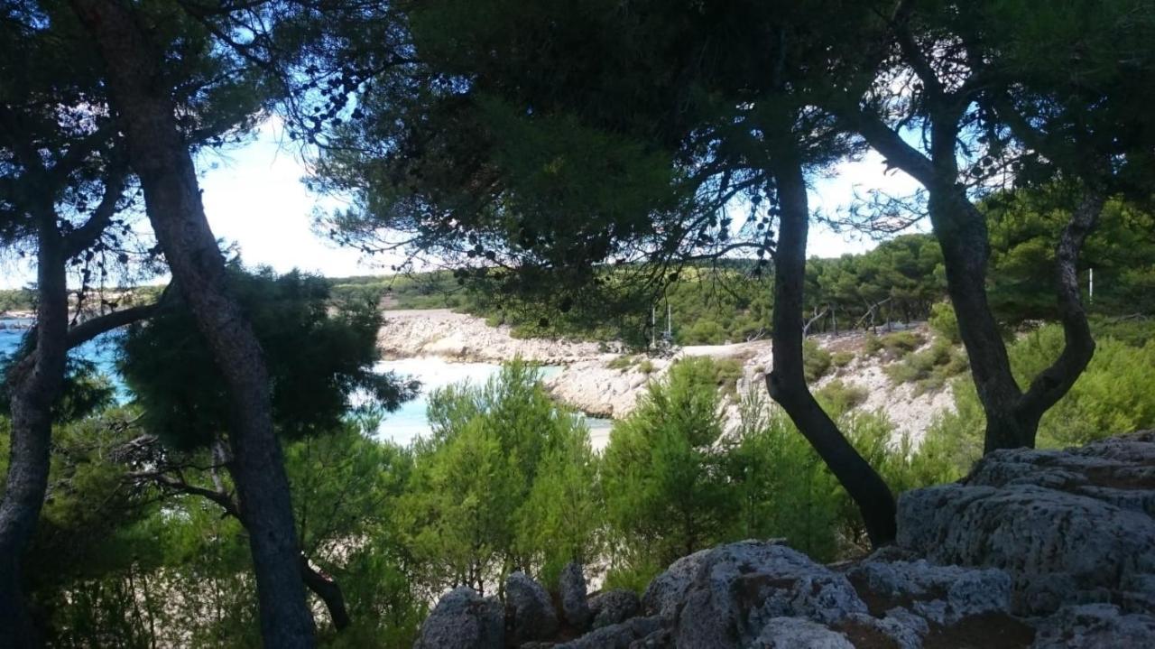 Appartement Vue Mer Le Chant Des Cigales Sausset-les-Pins Kültér fotó